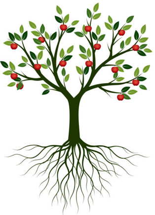 Living a Life of Stewardship – Generosity is the Fruit